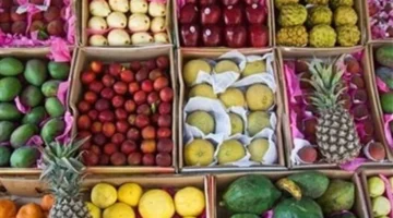 تحركات مفاجئة في سعر الفاكهة اليوم الأحد تشمل ارتفاع 4 أصناف منها الجوافة